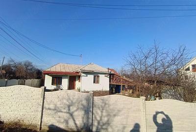 Casă cu 3 camere cu Teren 700 Mp în Ionești - 2
