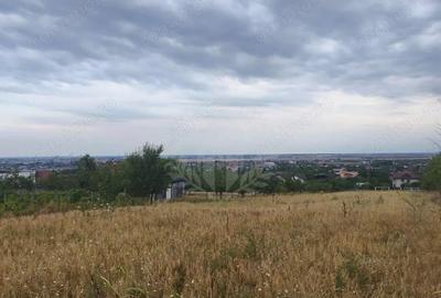 Teren de 10000 mp, în Păulești - 10