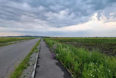 Teren de 30000 mp, în Filipeștii de Târg - 2