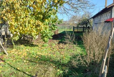 Vand casa batraneasca in sat Craciunei, comuna Radomire?ti, jud Olt - 7