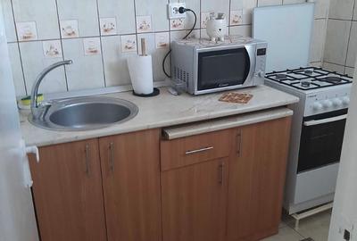 Apartament cu 1 camera, PET FRIENDLY, zona Tatarasi - 5