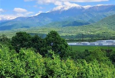 Teren  de vanzare la liziera padurii in Talmaciu - 4