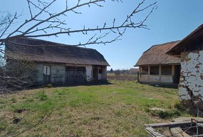 Spațiu comercial, în Târnova - 2