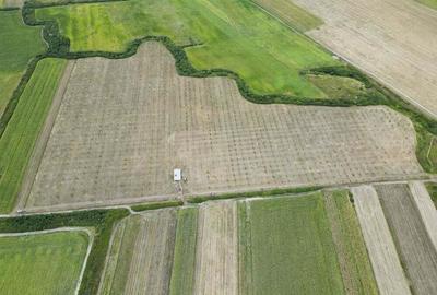 Livada BIO de nuci de vanzare langa Cermei - 4