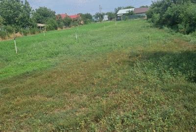 Teren de 3600 mp, în Plosca - 3