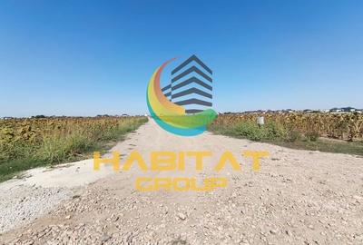 Teren 552 mp | Utilitati la Lot | Rate fara Dobanda | Vidra - 11