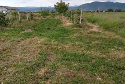 Spațiu comercial, în Mocira - 1