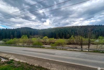 Teren de 21000 mp, în Slatina - 9