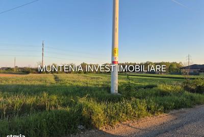 Spațiu comercial, în Poiana Lacului - 9