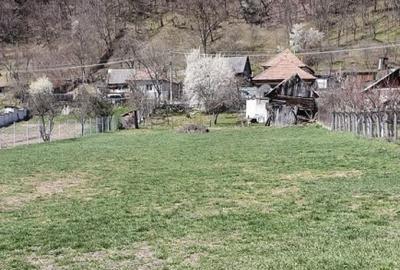 Teren de 1250 mp, în Central
