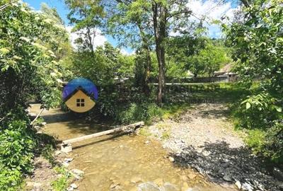 CASA traditionala BICAZU ARDELEAN + teren extravilan 1,6 hectare - 2