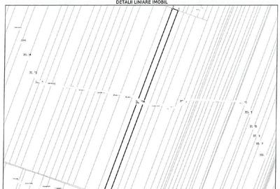 Cota de 1/4 din teren loc. Amarastii de Jos, Jud Dolj - 8