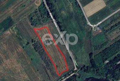Teren agricol extravilan de 20000 mp, în Budeasa Mare - 3