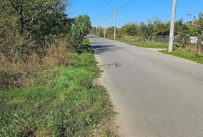 Teren de 2000 mp, în 1 Decembrie - 3