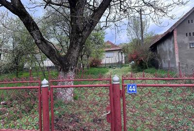 Casă cu 3 camere în Cozma - 7