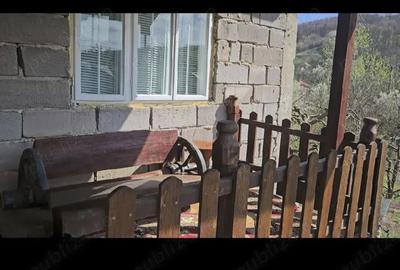 Casă cu Teren 2800 Mp în Boțești - 9