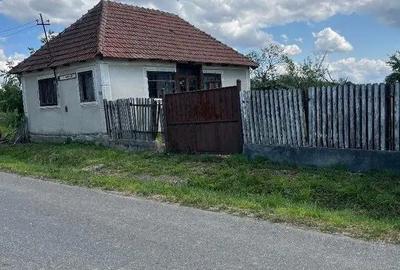 Casă cu 2 camere cu Teren 3208 Mp în Cărăndeni - 4