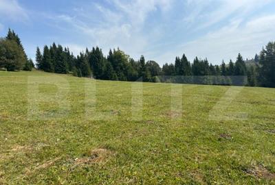 Teren de 20000 mp, în Central - 2