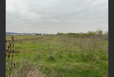 Teren 3372 mp, Târgu-Jiu, Centură - 1