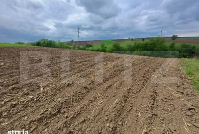 Teren de 5000 mp, în Bosanci - 2