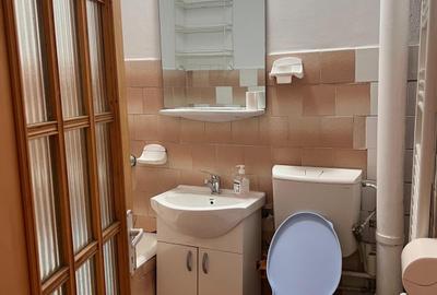 Apartament cu 1 camera, decomandat, zona Podu Ros - 8