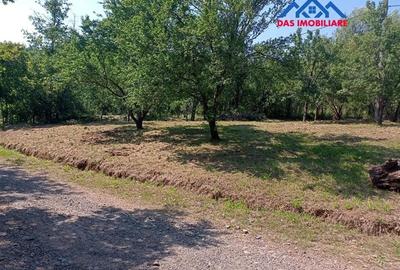 Teren intravilan,  2,5 ha, zona de deal in Seini - 1