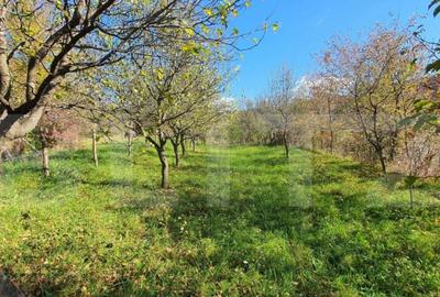 Casa P+M de aprox.140 mp, cu 10 ari livada de pomi si 1,5ari - 2