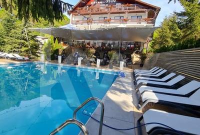 Investitie Premium in Inima Muntilor Cindrel - 15