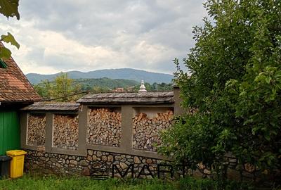 Casa cu 4 camere si anexe in Rasinari - 3