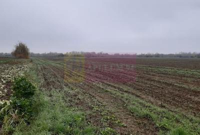 Teren în Central - 10