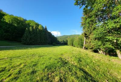 Teren de 12.000 mp la Vama Buzăului – Locație de Vis cu PUZ Aprobat - 2