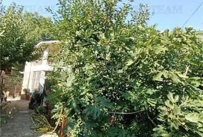 Vila P+de vanzare, 3 camere, foisor, garaj, teren 612 mp Militari