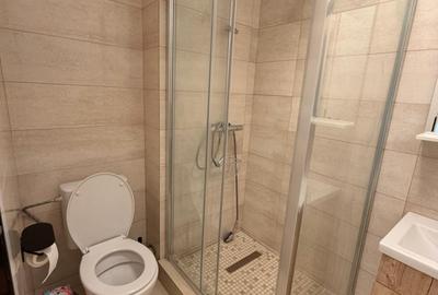 Apartament cu 3 camere nedecomandat, mobilat în Lujerului - 9