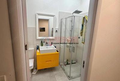 Trend Residence - Splaiul Unirii - Casa mobilata, 50mp curte - 17