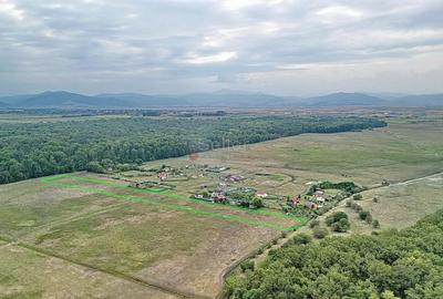 Teren Extravilan - 2