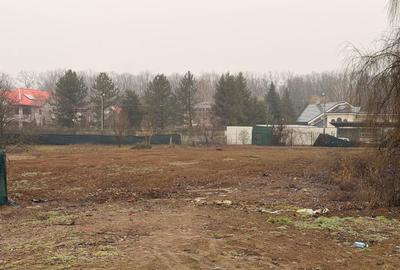 Teren Construcții intravilan de 1127 mp, în Snagov - 7