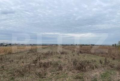 Teren extravilan de 2539 mp in Dudovicesti - 3