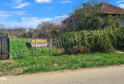 Teren de 3595 mp, în Merișani - 3