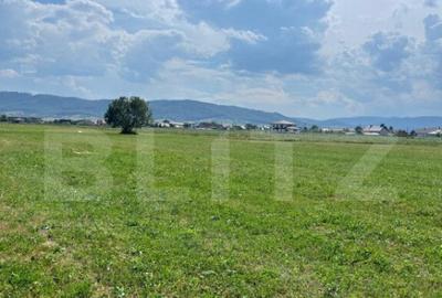 Teren extravilan,5200 mp.Vicovu de Sus - 3