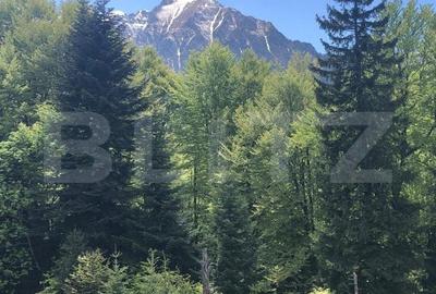 Spațiu comercial, în Părău - 3