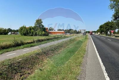 Teren Construcții intravilan de 20561 mp, în Vest - 8