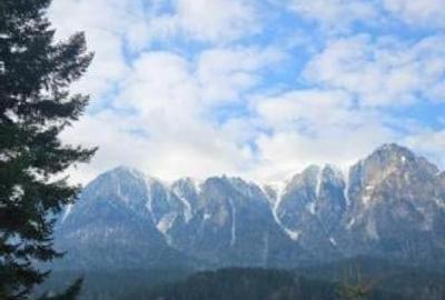 Casă individuală cu 3 camere cu Canalizare în Poiana Țapului - 2