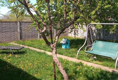 Casă cu 5 camere în Pădureni (Jebel) - 4