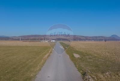 Teren 11,600mp Rasnov / DN 73 zona Tabara, bonus un teren de 3000 mp Teren 11,600mp Rasnov / DN 73 zona Tabara, bonus un teren de 3000 mp - 8