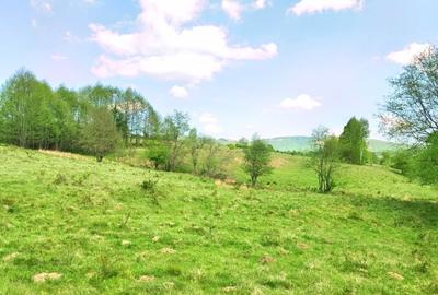 25.000 mp TEREN IDEAL AFACERE TURISM – AMENAJARE LAC DE PESCUIT, CIUCEA - CLUJ - 14