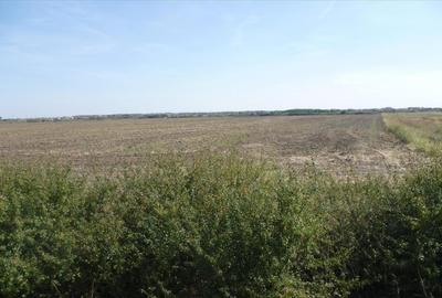 Vand teren in Timisoara, soseaua de centura - 2