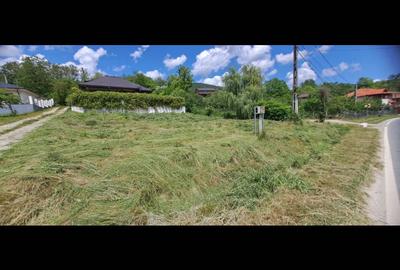 Spațiu comercial, în Vlădești - 1