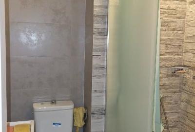 Drumul Sarii, particular, inchiriere apartament 3 camere, - 4