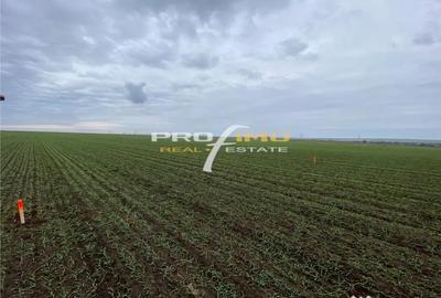 Teren de 4200 mp, în Corbu - 8