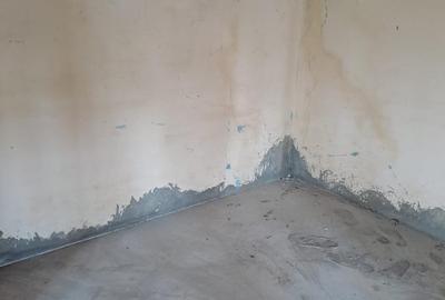 Casă cu 4 camere cu Teren 1300 Mp în Dascălu - 2